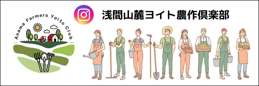 公式インスタグラム