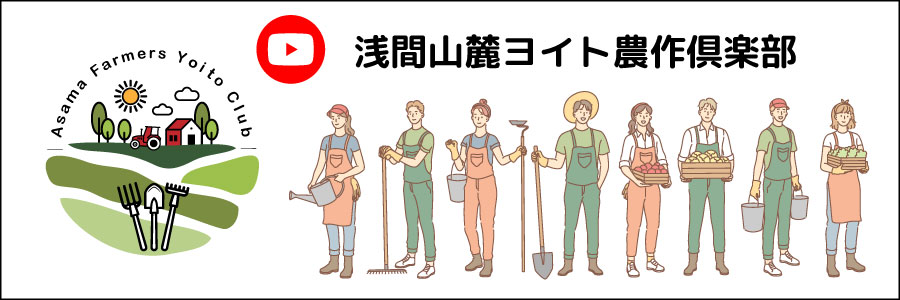 公式YouTube